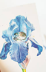 Papier - Pohľadnica "Iris" - 13393462_