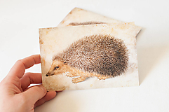 Papier - Pohľadnica "Ježurko" - 13393546_