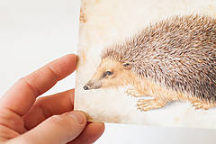 Papier - Pohľadnica "Ježurko" - 13393547_