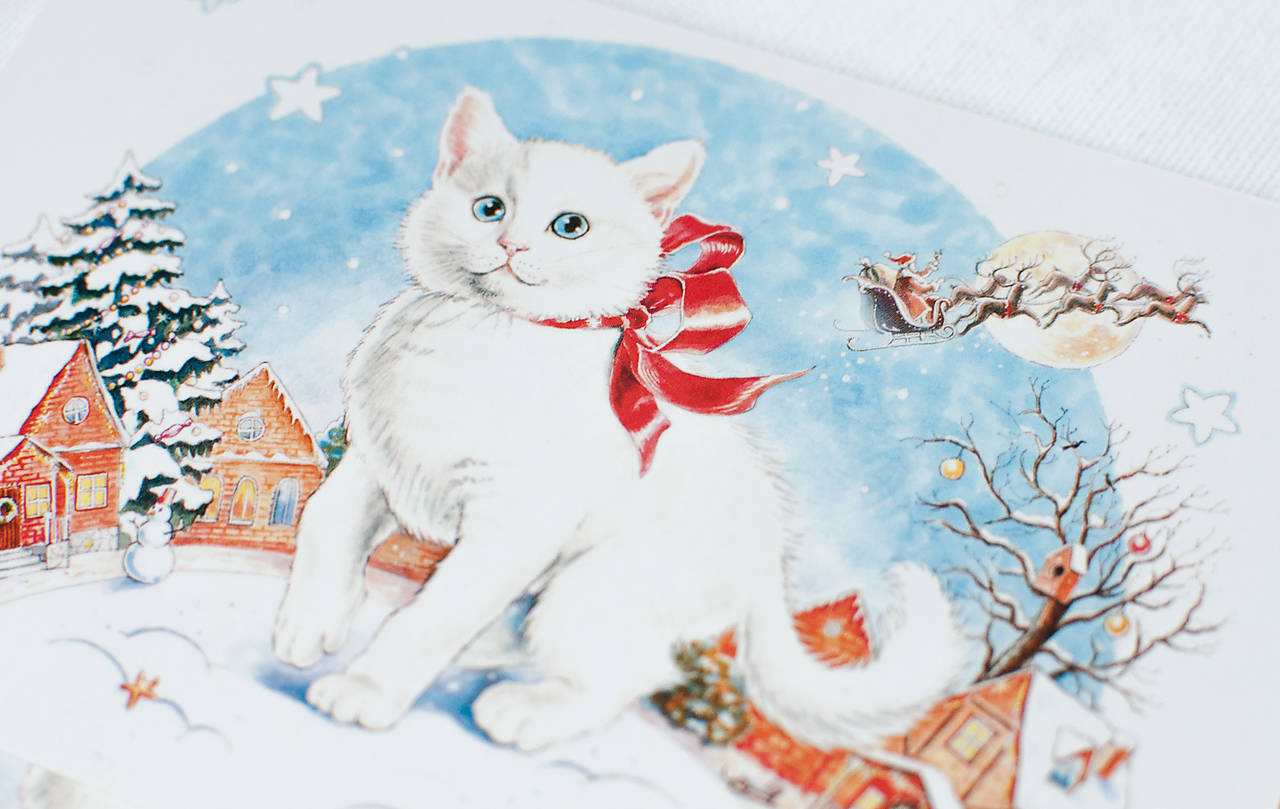Pohľadnica "Kitten in the snowy town"