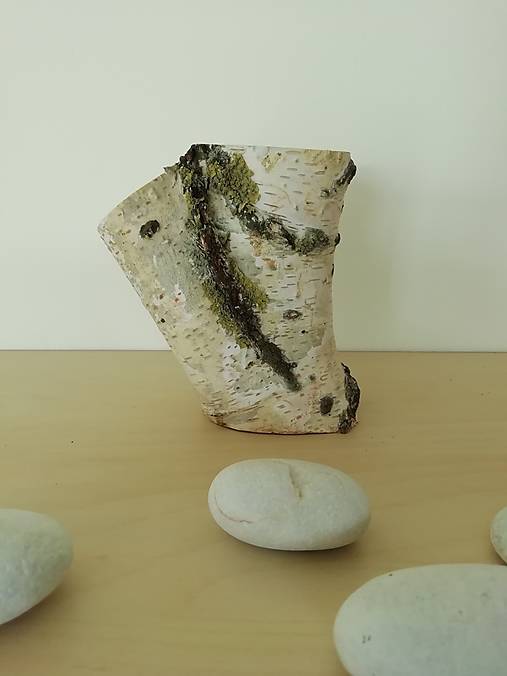 Dekorácie - Brezové dekoratívne pníky (v2 - 7 x 11 cm) - 13409338_