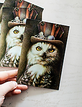 Papier - Pohľadnica "Mister Owl - 13413686_