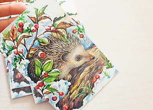 Papier - Pohľadnica "Hedgehog" - 13413944_