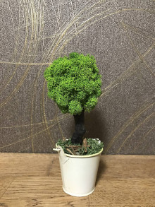 Dekorácie - Mini prírodný machový bonsaj - 13419529_
