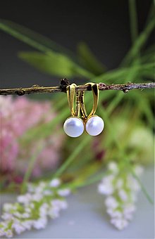 Náušnice - perly náušnice v pozlátenom striebre - 13420063_