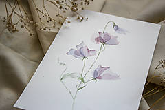 Obrazy - Priesvitné kvety- akvarel- originál - 13431292_