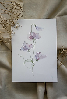 Obrazy - Priesvitné kvety- akvarel- originál - 13431289_