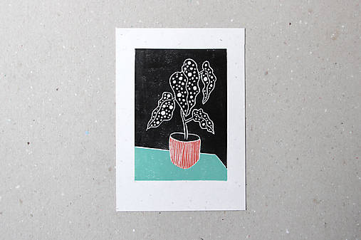 Grafika - Tisk / Begonia - 13448007_