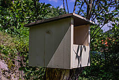 Pre zvieratá - Vtáčia búdka pre žltochvosta FOoFO - 13450222_