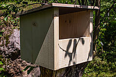 Pre zvieratá - Vtáčia búdka pre žltochvosta FOoFO - 13450228_