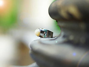 Prstene - Nerezový prsten... " Leon " - 13459176_