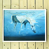 Obrazy - Mořský koník - originál - olejomalba v rámečku - 13470060_