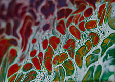 Obrazy - Háj - abstraktný obraz - acrylic pouring - 13491803_