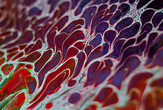 Obrazy - Háj - abstraktný obraz - acrylic pouring - 13491804_