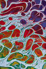 Obrazy - Háj - abstraktný obraz - acrylic pouring - 13491805_