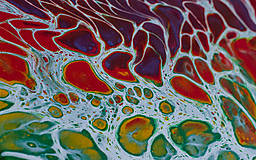 Obrazy - Háj - abstraktný obraz - acrylic pouring - 13491806_