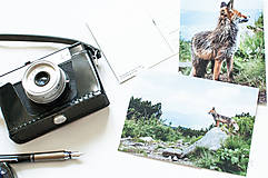 Papier - Pohľadnica - Malá Fatra  (Líška  I.) - 13502628_