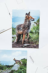 Papier - Pohľadnica - Malá Fatra  (Líška  I.) - 13502630_