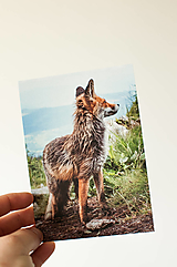 Papier - Pohľadnica - Malá Fatra  (Líška  I.) - 13502632_