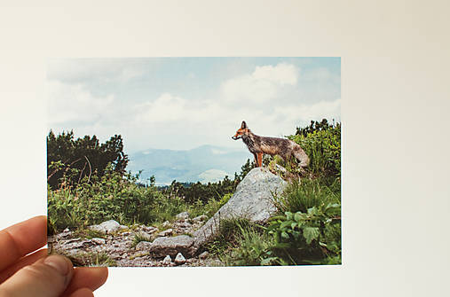Papier - Pohľadnica - Malá Fatra  (Líška  II.) - 13502634_