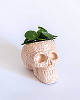 Nádoby - Sugar Skull dekoratívny obal na kvetináč (S) - 13502570_