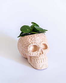 Nádoby - Sugar Skull dekoratívny obal na kvetináč (S) (Staroružová) - 13502570_