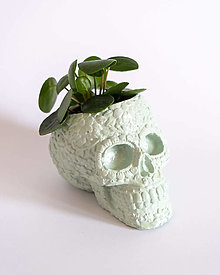 Nádoby - Sugar Skull dekoratívny obal na kvetináč (S) (Country zelenkavá) - 13502584_