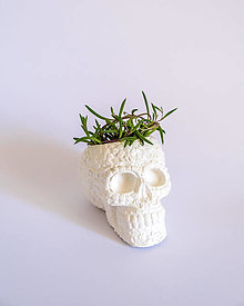 Nádoby - Sugar Skull dekoratívny obal na kvetináč (S) (Biela) - 13502590_