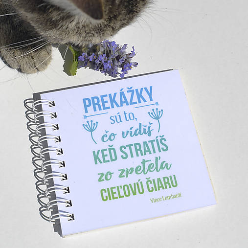Papiernictvo - zápisník "prekážky a ciele" - 13503710_