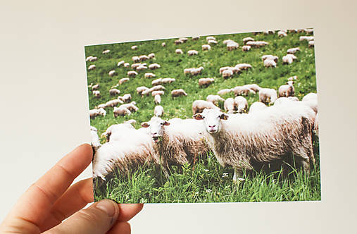 Papier - Pohľadnica - Podšíp (Na salaši) - 13502983_