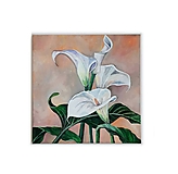 Obrazy - Obraz Calla - 13508846_