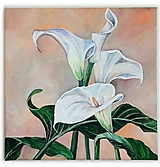 Obrazy - Obraz Calla - 13513475_