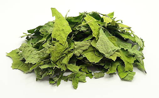 Bylinky - Slez maurský - list - 13514783_