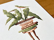 Grafika - Klub čitateľov - Print | Botanická ilustrácia - 13529899_