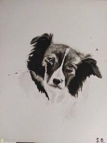 Obrazy - Portrét psa - minimalizmus - 13530327_