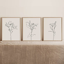 Kresby - Set 3 botanických obrazov - 13539003_