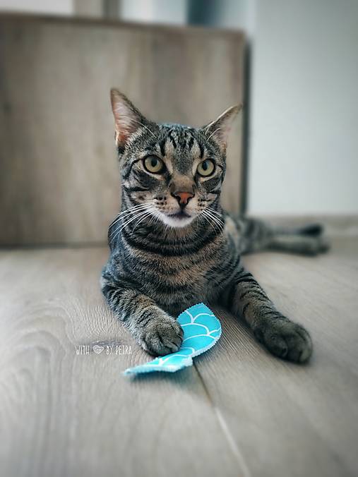  - Veselé rybky - set 3 hračiek pre mačku  - 13540727_