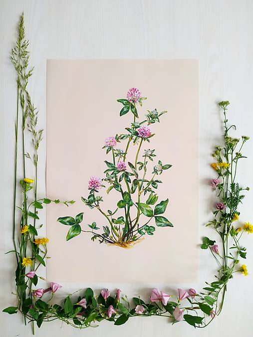 Grafika - Fotoreprodukcia / art print obrazu Ďatelinka - 13549424_
