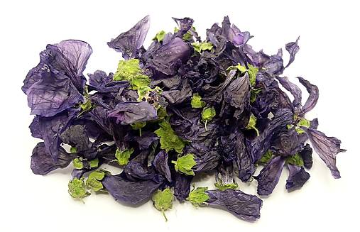 Bylinky - Slez maurský - 13555040_