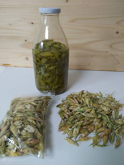 Bylinky - Medvedí cesnak - sušený kvet na tinktúru - 13559497_