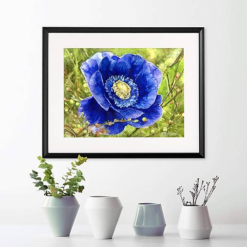 Grafika - Fine Art Print "Anemónka" - 13561263_