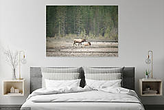 Fotografie - Jelenia Rodinka, Národný Park Jasper, Kanada (Plátno) - 13560146_