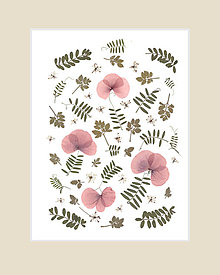 Grafika - obraz,kompozícia lisovaných kvetov- poľné maky, print - 13564145_