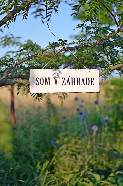 Dekorácie - Tabuľka Som v záhrade - 13570326_
