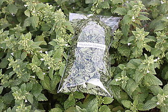 Bylinky - Medovka lekárska 20 g sypaný čaj bio kvalita - 13575977_