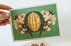 Papier - Pohľadnica " Botanicum "  Durian - 13590122_