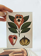 Papier - Pohľadnica " Botanicum " Tropical trees - 13590145_