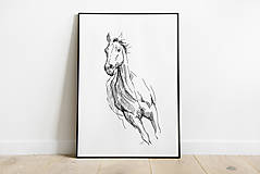 Grafika - print - kôň  v pohybe 2 - 13622182_