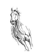 Grafika - print - kôň  v pohybe 2 - 13622183_