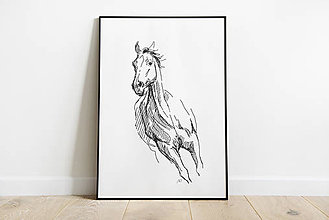 Grafika - print - kôň  v pohybe 2 - 13622182_